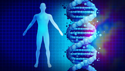 Artificial Human Genetics and synthetic genome futuristic concept of man made human DNA with edited chromosomes as a double helix biotechnology, and genetic code in abstract molecular structure.