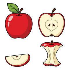 Apple Life Cycle Vector Set