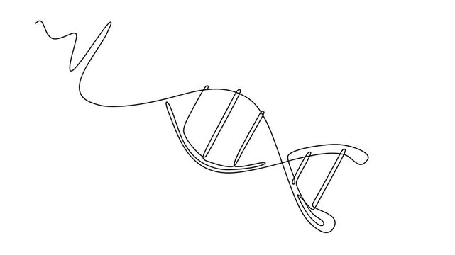 Animated self drawing of continuous line draw DNA. Full length one line animation. 4K	