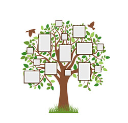 memories tree picture frames insert your photo into template frames collage illustration