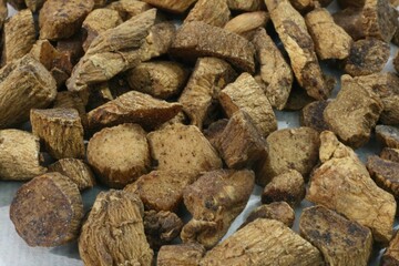 Dry slices of Polygonatum sibiricum root for herbal medical use in East Asia
