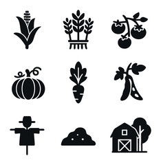 Farm Vegetation Icons. Solid, filled icons set of farm vegetation: corn stalk, wheat bundle, tomato vine,