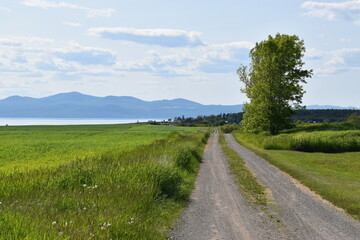 A farm in summer, Québec, Canada