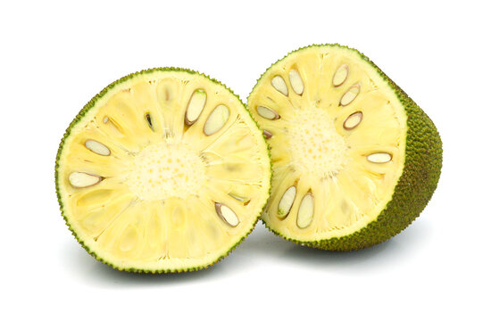 Asian raw cempedak fruit