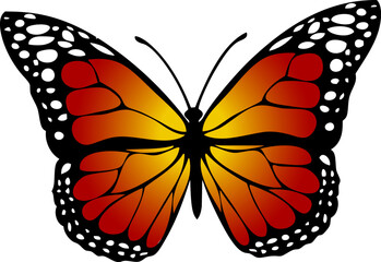 orange butterfly svg - insect vector art - realistic butterfly drawing
