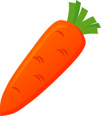 Organic Carrot Vector – Garden Fresh Design - carrot with green top
