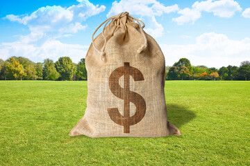 Cost of building land and agricultural land - real estate concept with a vacant land available for...
