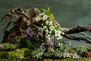 Soft cherry blossoms and vibrant wild geraniums bloom in a mysterious spring atmosphere. A dreamy and enchanting scene filled with freshness and quiet wonder