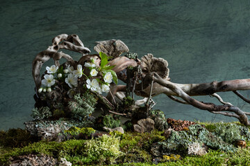 Obraz premium Soft cherry blossoms and vibrant wild geraniums bloom in a mysterious spring atmosphere. A dreamy and enchanting scene filled with freshness and quiet wonder