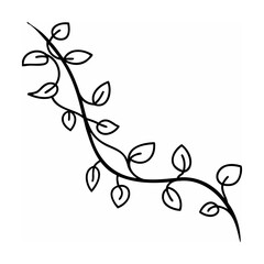 Black Line Art Vine with Leaves on White Background