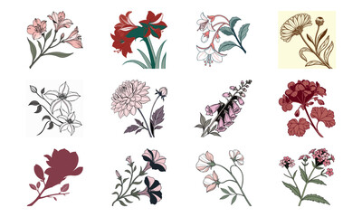 Elegant floral set depicting various flower varieties with outlined and colored styles for artistic design and decoration