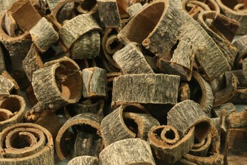 Magnolia Bark Rolled Form Close-up - Traditional Korean Medicinal Herb © HYOJIN
