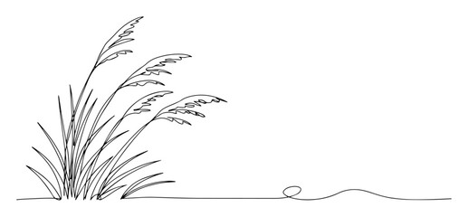 decorative grass plant silhouette line art
