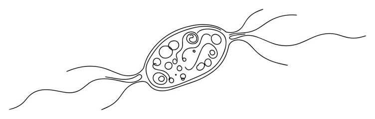 protozoan microorganism with flagella illustration