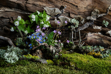 Wild geranium and veronica flowers bloom in a romantic spring composition, kissed by the breeze....