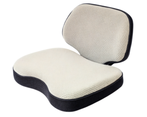 Economic seat and back cushion for posture support on a transparent background