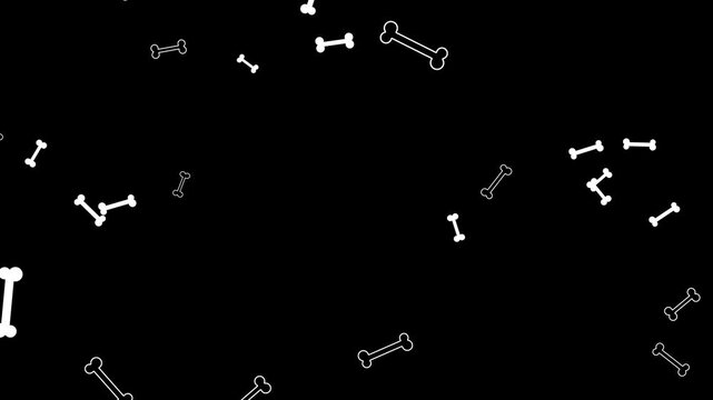 dog treat bones falling alpha channel loopable animation, pet care and petshop dog bone isolated vertical social media motion design element