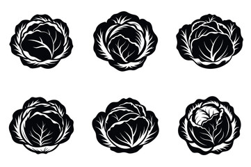 Monochrome Set showing simple line art cabbage heads vector silhouettes
