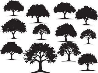 Courtyard Trees Vector Art, Oak tree silhouette, Tree silhouettes on white background vector illustration