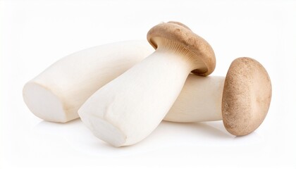mushrooms on a white background