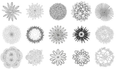 Obraz premium Set of icons of stylized trees in plan on white background 