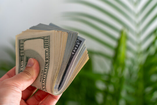 Close-up of male hand holding large stack of hundred-dollar bills with green tropical plant in background. Concept of finance, cash wealth, savings, economic success and personal financial freedom.