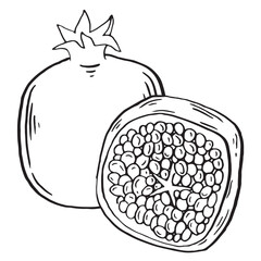 Pomegranate fruit brush sketch illustration. Vector stroke hand drawn food for menu and decoration clip art. Sketch Garnet ripe fruits and half, isolated engraved sign.