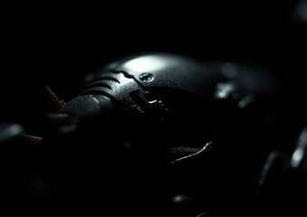 ants on a black background