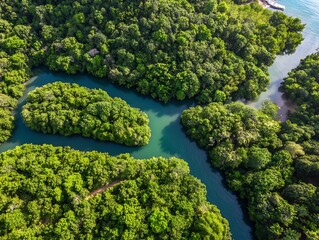 Verdant river winding through tropical landscape