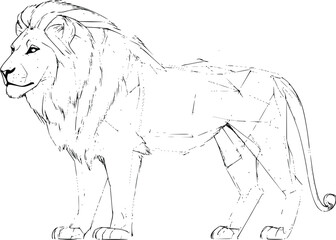 Obraz premium Majestic Lion Vector Illustration Elegant Line Art Design