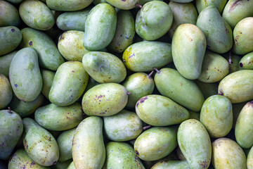 A pile of fresh green mangoes, close-up