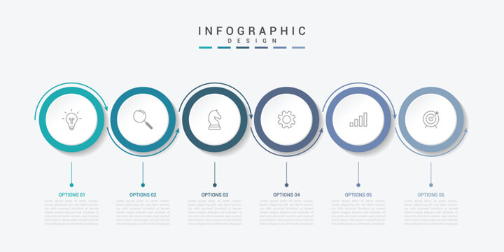 Modern minimalist elegant clean circular 6 steps editable infographic design template vector