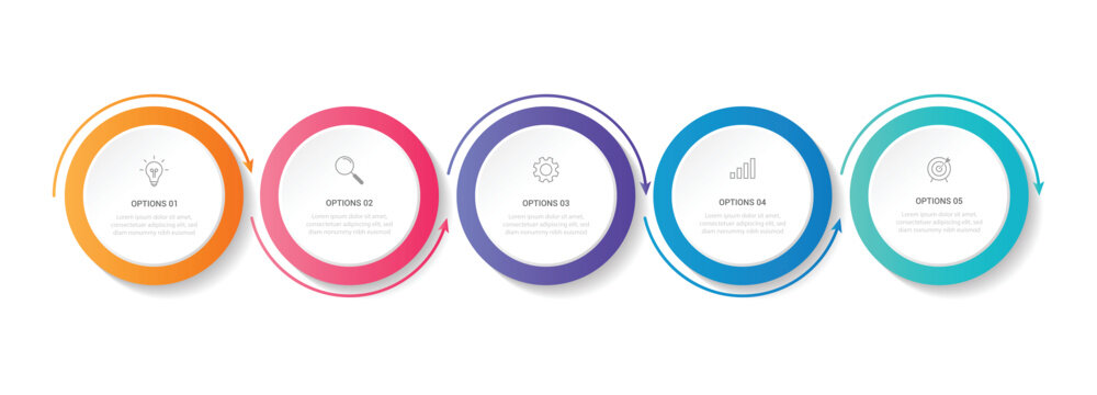 Modern minimalist elegant clean circular 5 steps editable infographic design template vector