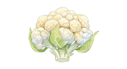 Watercolor Illustration Presents A Bunch Of Vibrant Green Cilantro Stems Bound With Twine Showcasing Delicate Leafy Details And The Artists Skill With Washes