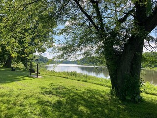 tranquil summer view of river