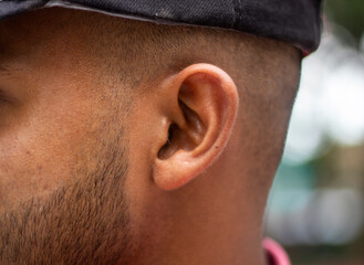 A bald head and ears