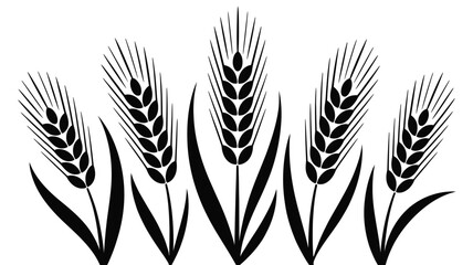 Black and white illustration of wheat stalks on a white background