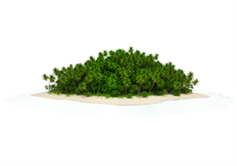 Tropical Island with Palm Trees, Sandy Beach, and Turquoise Waters Against White Background.


