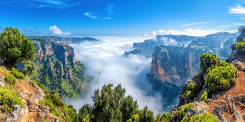 A vast canyon enveloped by thick fog with rocky cliffs and lush green vegetation under a bright blue sky.