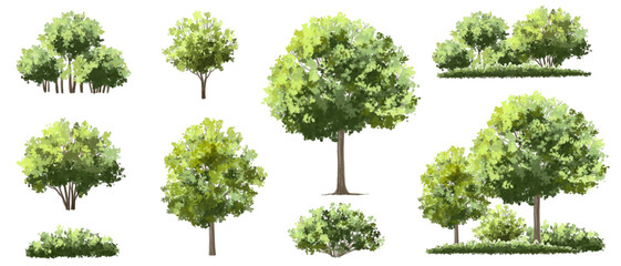  Vector watercolor green  tree or forest side view isolated on white background for landscape and architecture drawing,elements for environment or and garden,Shrub for section
