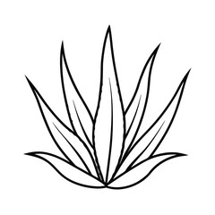 aloe vera vector minimal herb outline