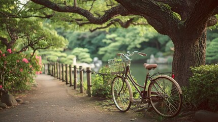 Fototapeta premium Bicycle parked under a lush tree in a peaceful park