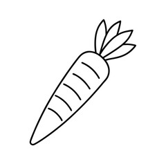 carrot outline line art drawing