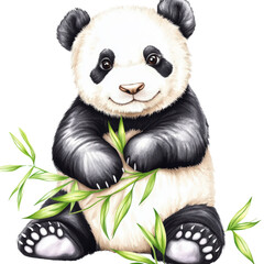 Cute baby panda sitting and holding bamboo stalks with leaves on a white background