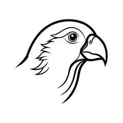 Line art illustration of a lovebird's head.eps