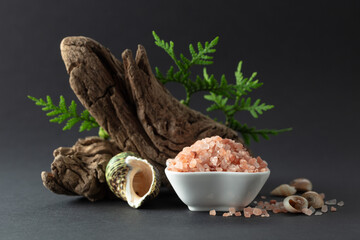 Pink himalayan salt with snags, green thuja branches, and seashells.