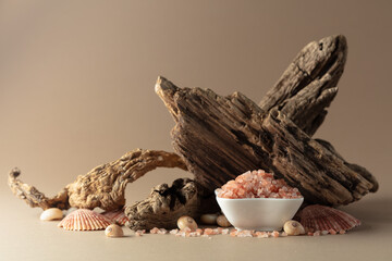 Pink himalayan salt with snags and seashells on a beige background.