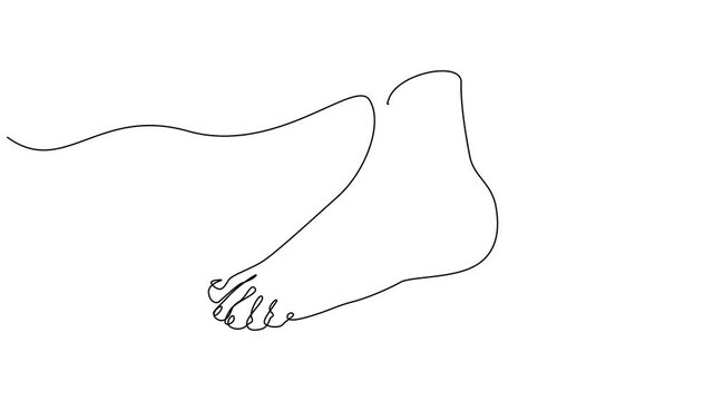 Human feet on floor scales, animated self drawing of single continuous line, 4K Stock video Animated sketch vector drawing. One line drawing of woman legs.