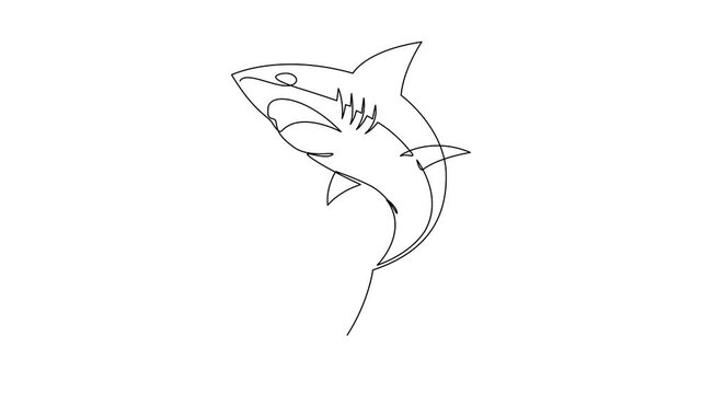 Animated self drawing of continuous line draw aggressive shark, Self drawing simple animation of continuous one line drawing of Hammerhead Shark. Hammerhead single line drawing by hand. 4K animation