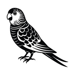 Fototapeta premium vector illustration of a bird